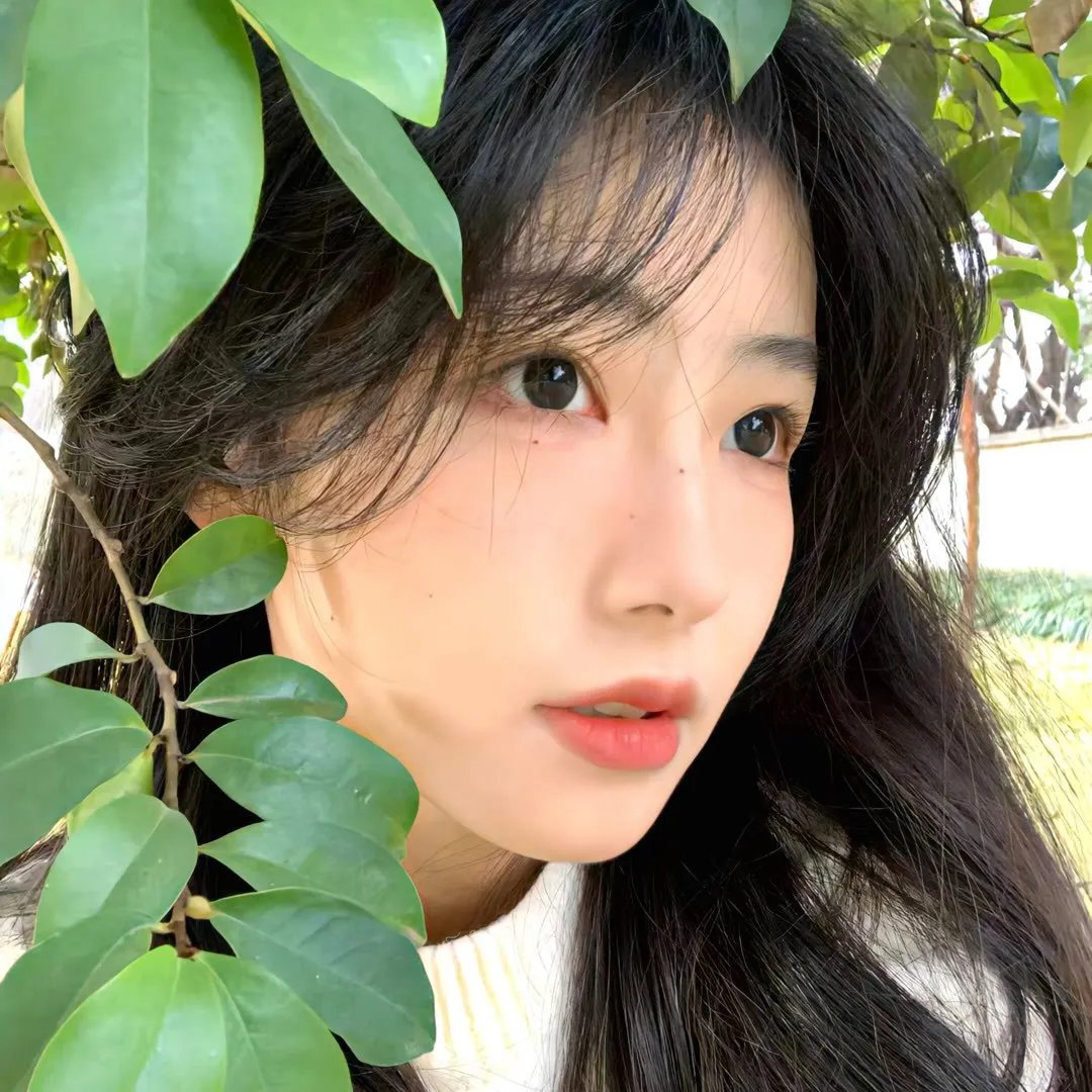 亚种5:血起